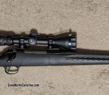 Ruger American .270